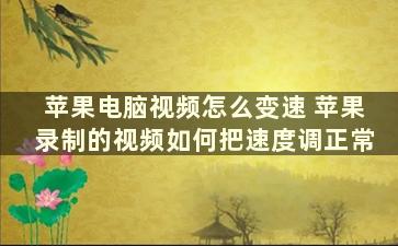 苹果电脑视频怎么变速 苹果录制的视频如何把速度调正常